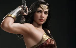 Batman v. Superman (2016) - Wonder Woman InArt 1/6 Scale Figure Mathematical Skill