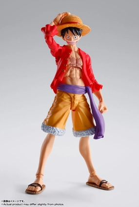 Movie Display Art Piece S.H.Figuarts Monkey D. Luffy -The Raid on Onigashima- (Re-Run)